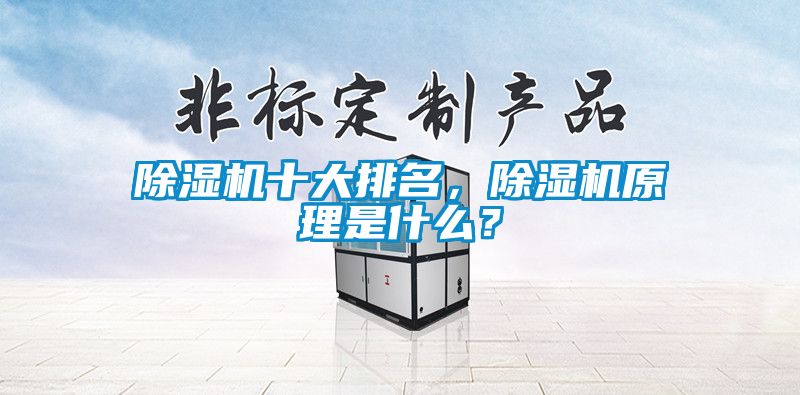 除濕機(jī)十大排名，除濕機(jī)原理是什么？