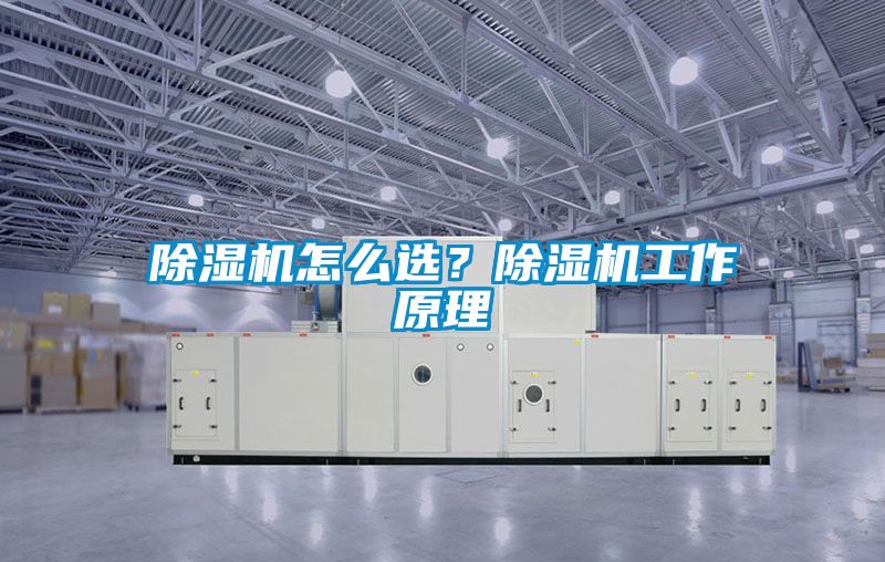 除濕機怎么選？除濕機工作原理