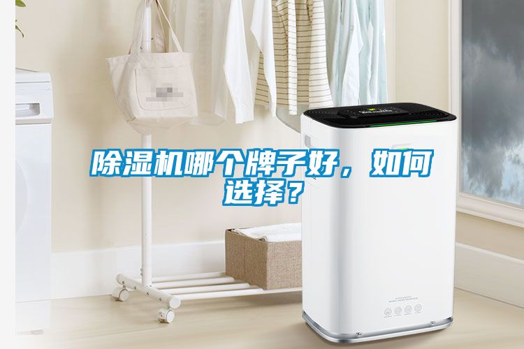 除濕機(jī)哪個(gè)牌子好，如何選擇？