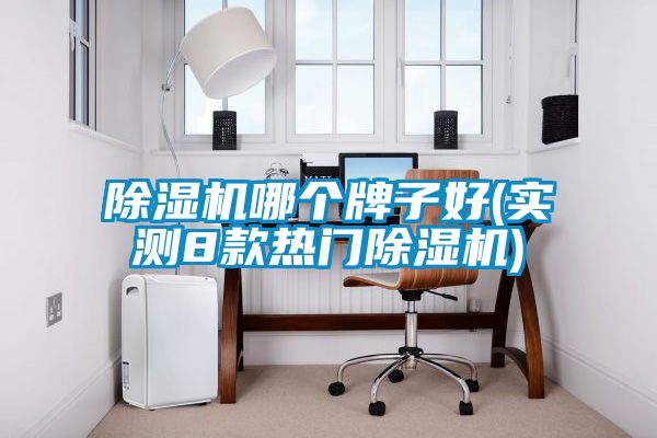 除濕機(jī)哪個牌子好(實測8款熱門除濕機(jī))