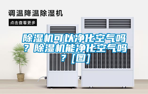 除濕機(jī)可以凈化空氣嗎？除濕機(jī)能凈化空氣嗎？[圖]