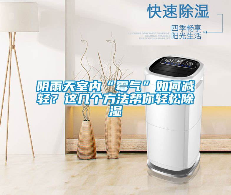 陰雨天室內(nèi)“霉氣”如何減輕？這幾個(gè)方法幫你輕松除濕