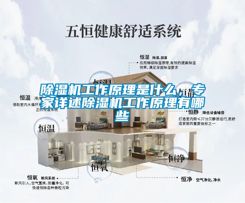 除濕機工作原理是什么，專家詳述除濕機工作原理有哪些