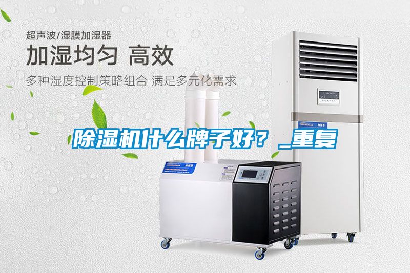 除濕機(jī)什么牌子好？_重復(fù)