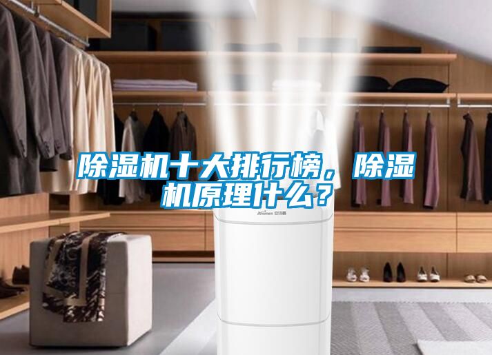 除濕機(jī)十大排行榜，除濕機(jī)原理什么？