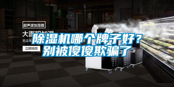 除濕機哪個牌子好？別被傻傻欺騙了