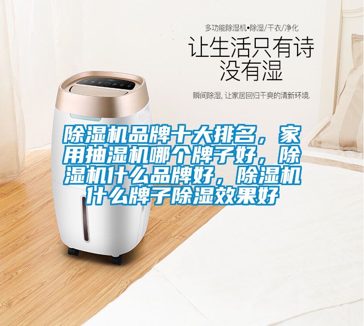 除濕機(jī)品牌十大排名，家用抽濕機(jī)哪個(gè)牌子好，除濕機(jī)什么品牌好，除濕機(jī)什么牌子除濕效果好
