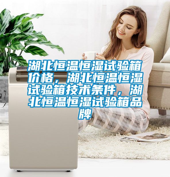 湖北恒溫恒濕試驗箱價格，湖北恒溫恒濕試驗箱技術條件，湖北恒溫恒濕試驗箱品牌
