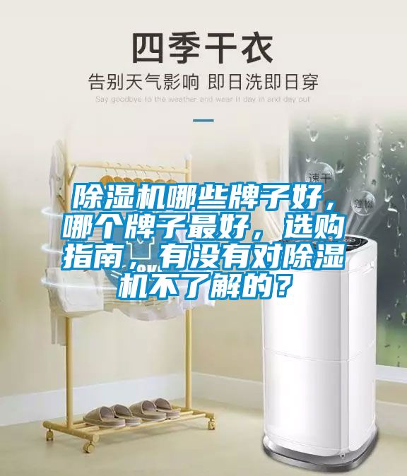除濕機(jī)哪些牌子好，哪個(gè)牌子最好，選購(gòu)指南，有沒(méi)有對(duì)除濕機(jī)不了解的？