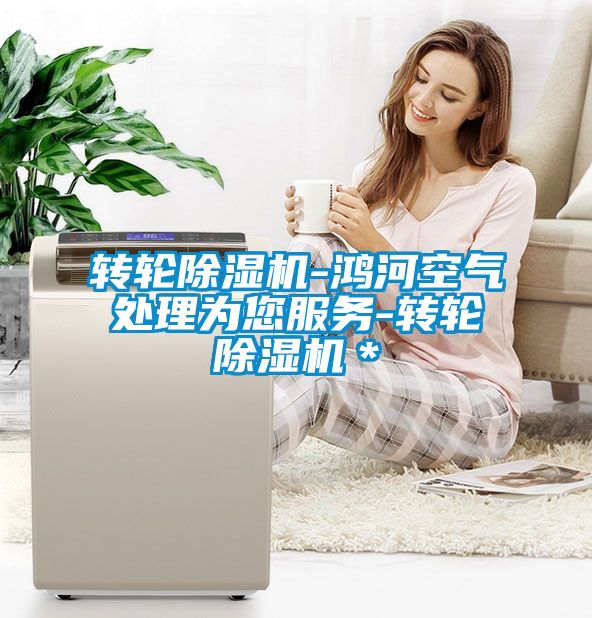 轉(zhuǎn)輪除濕機(jī)-鴻河空氣處理為您服務(wù)-轉(zhuǎn)輪除濕機(jī)＊
