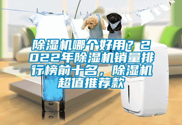 除濕機哪個好用？2022年除濕機銷量排行榜前十名，除濕機超值推薦款