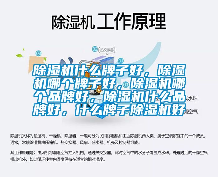 除濕機什么牌子好，除濕機哪個牌子好，除濕機哪個品牌好，除濕機什么品牌好，什么牌子除濕機好