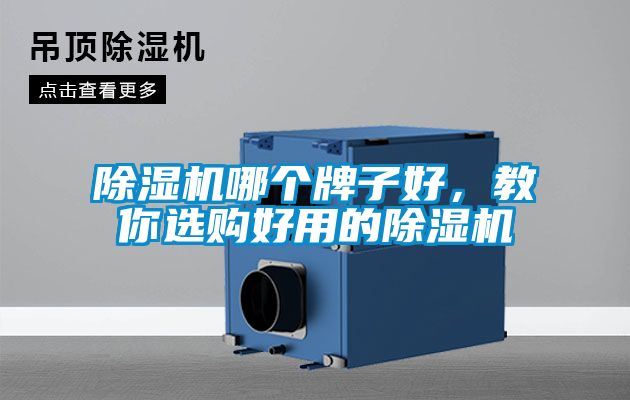 除濕機(jī)哪個(gè)牌子好，教你選購好用的除濕機(jī)