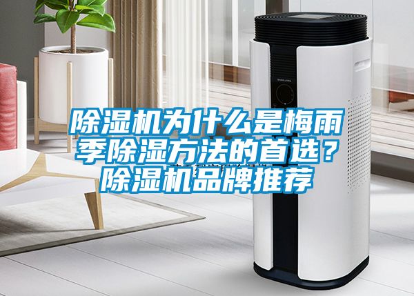除濕機(jī)為什么是梅雨季除濕方法的首選？除濕機(jī)品牌推薦