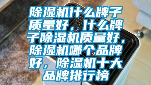 除濕機(jī)什么牌子質(zhì)量好，什么牌子除濕機(jī)質(zhì)量好，除濕機(jī)哪個(gè)品牌好，除濕機(jī)十大品牌排行榜