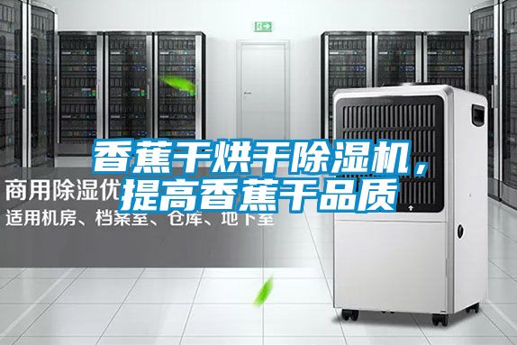 香蕉干烘干除濕機(jī)，提高香蕉干品質(zhì)