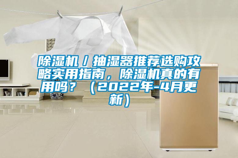 除濕機(jī)／抽濕器推薦選購攻略實(shí)用指南，除濕機(jī)真的有用嗎？（2022年-4月更新）