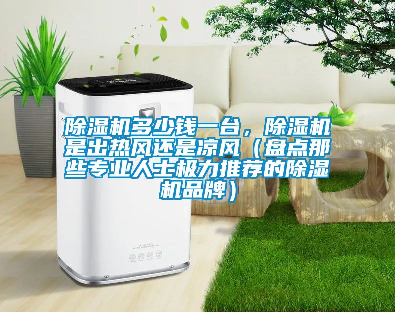 除濕機(jī)多少錢一臺(tái)，除濕機(jī)是出熱風(fēng)還是涼風(fēng)（盤(pán)點(diǎn)那些專業(yè)人士極力推薦的除濕機(jī)品牌）