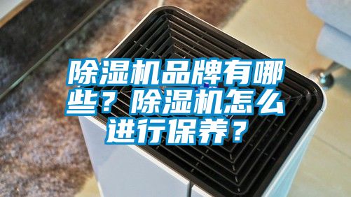 除濕機(jī)品牌有哪些？除濕機(jī)怎么進(jìn)行保養(yǎng)？