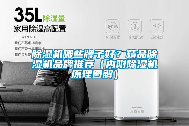 除濕機哪些牌子好？精品除濕機品牌推薦（內(nèi)附除濕機原理圖解）