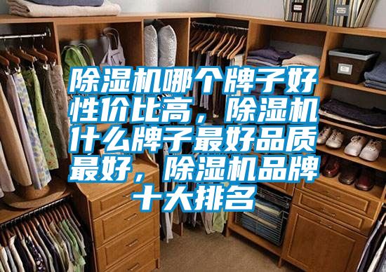 除濕機(jī)哪個(gè)牌子好性價(jià)比高，除濕機(jī)什么牌子最好品質(zhì)最好，除濕機(jī)品牌十大排名