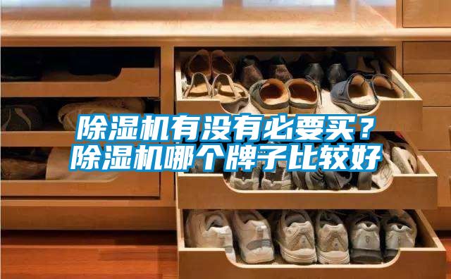 除濕機(jī)有沒有必要買？除濕機(jī)哪個(gè)牌子比較好