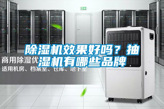 除濕機(jī)效果好嗎？抽濕機(jī)有哪些品牌