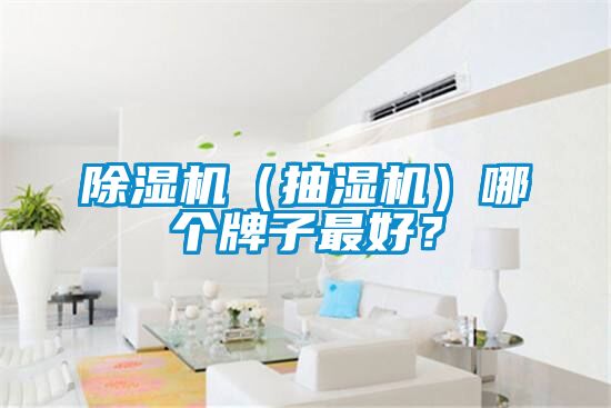 除濕機(jī)（抽濕機(jī)）哪個(gè)牌子最好？
