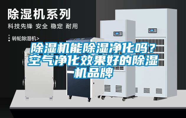 除濕機(jī)能除濕凈化嗎？空氣凈化效果好的除濕機(jī)品牌