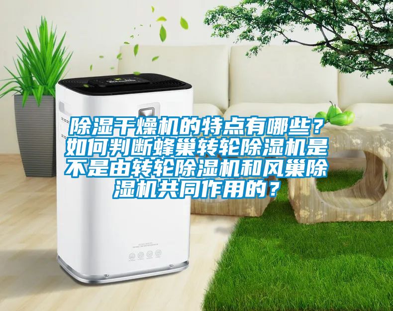 除濕干燥機的特點有哪些？如何判斷蜂巢轉(zhuǎn)輪除濕機是不是由轉(zhuǎn)輪除濕機和風(fēng)巢除濕機共同作用的？