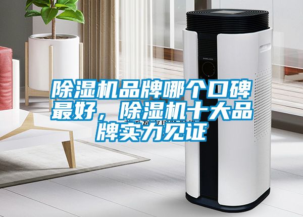 除濕機(jī)品牌哪個口碑最好，除濕機(jī)十大品牌實(shí)力見證