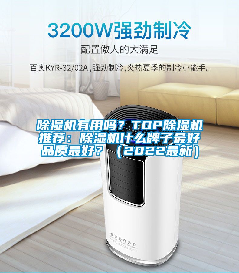 除濕機(jī)有用嗎？TOP除濕機(jī)推薦：除濕機(jī)什么牌子最好品質(zhì)最好？（2022最新）