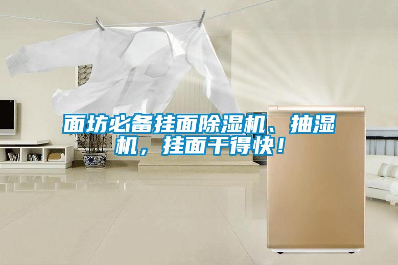 面坊必備掛面除濕機(jī)、抽濕機(jī)，掛面干得快！