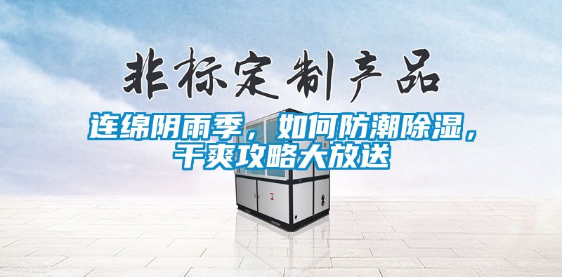 連綿陰雨季，如何防潮除濕，干爽攻略大放送