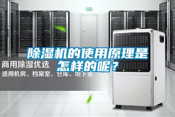 除濕機的使用原理是怎樣的呢？