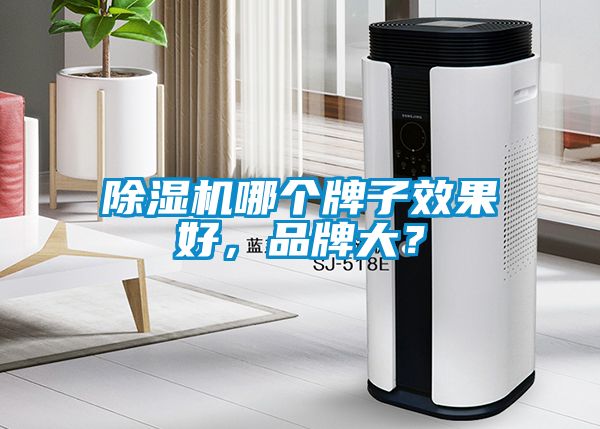 除濕機(jī)哪個牌子效果好，品牌大？