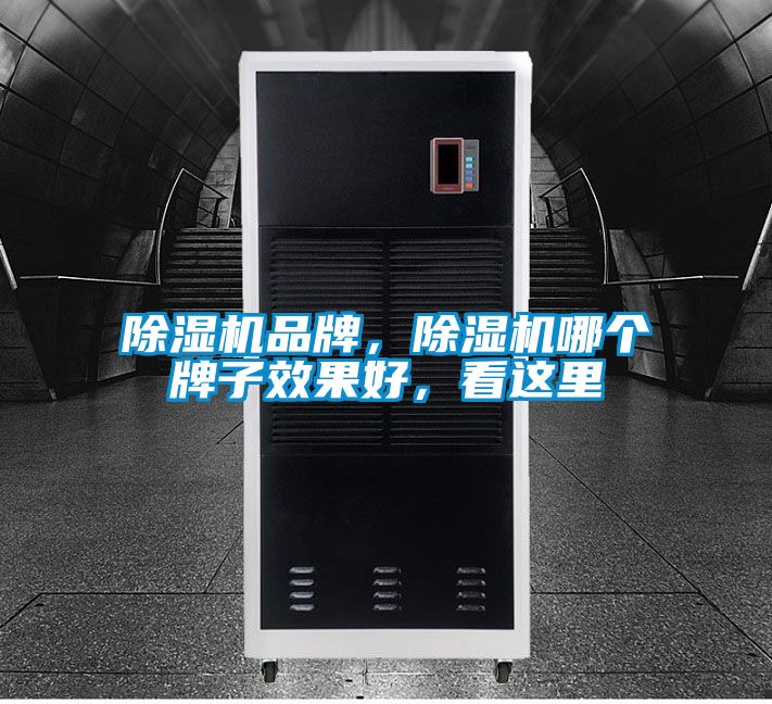 除濕機(jī)品牌，除濕機(jī)哪個(gè)牌子效果好，看這里