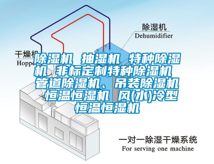 除濕機(jī) 抽濕機(jī) 特種除濕機(jī) 非標(biāo)定制特種除濕機(jī) 管道除濕機(jī)、吊裝除濕機(jī) 恒溫恒濕機(jī) 風(fēng)(水)冷型恒溫恒濕機(jī)