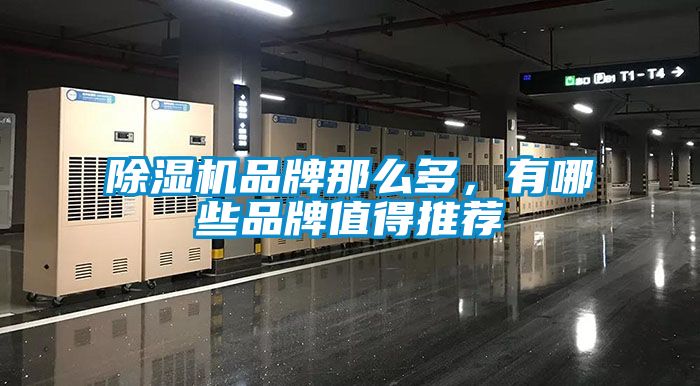除濕機(jī)品牌那么多，有哪些品牌值得推薦