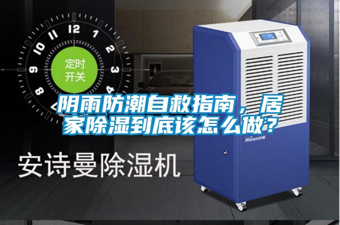 陰雨防潮自救指南，居家除濕到底該怎么做？