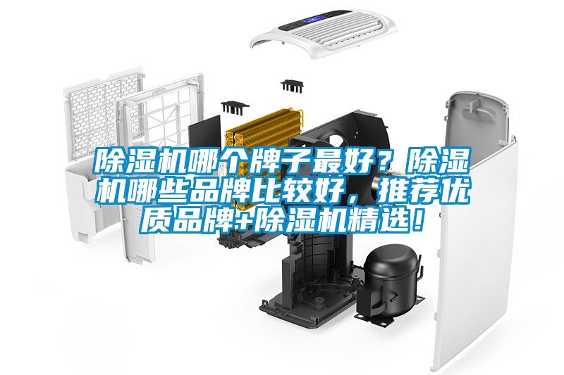 除濕機哪個牌子最好？除濕機哪些品牌比較好，推薦優(yōu)質(zhì)品牌+除濕機精選！