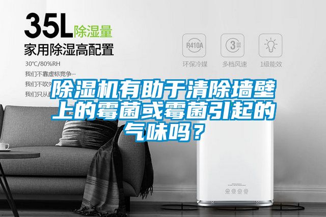 除濕機有助于清除墻壁上的霉菌或霉菌引起的氣味嗎？