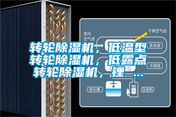 轉輪除濕機，低溫型轉輪除濕機，低露點轉輪除濕機，鋰 ...