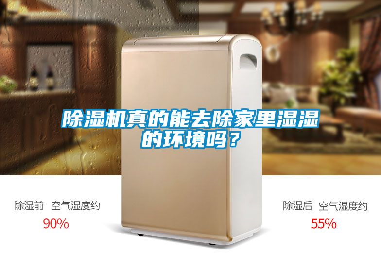 除濕機(jī)真的能去除家里濕濕的環(huán)境嗎？