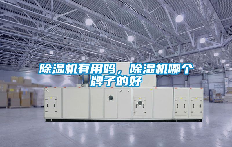 除濕機有用嗎，除濕機哪個牌子的好