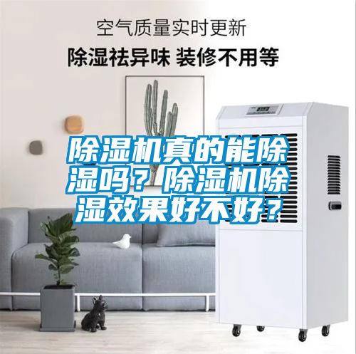 除濕機真的能除濕嗎？除濕機除濕效果好不好？