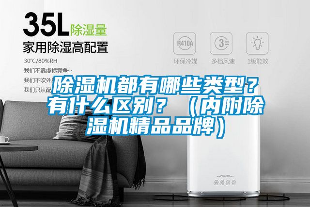 除濕機都有哪些類型？有什么區(qū)別？（內(nèi)附除濕機精品品牌）