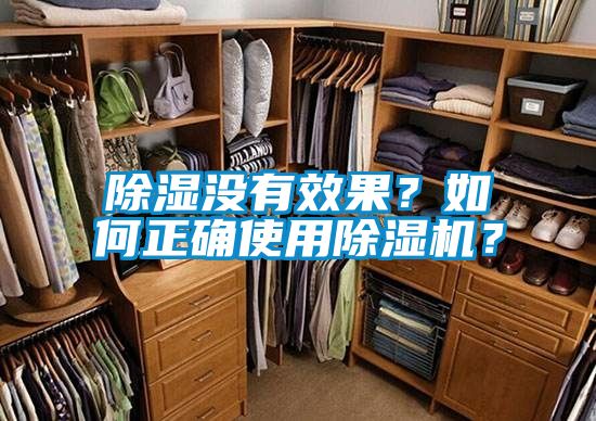 除濕沒有效果？如何正確使用除濕機？