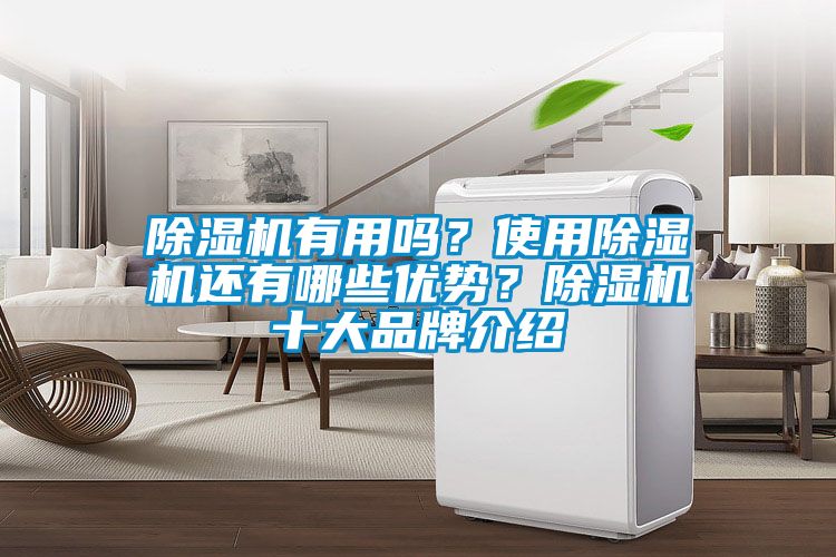 除濕機(jī)有用嗎？使用除濕機(jī)還有哪些優(yōu)勢(shì)？除濕機(jī)十大品牌介紹