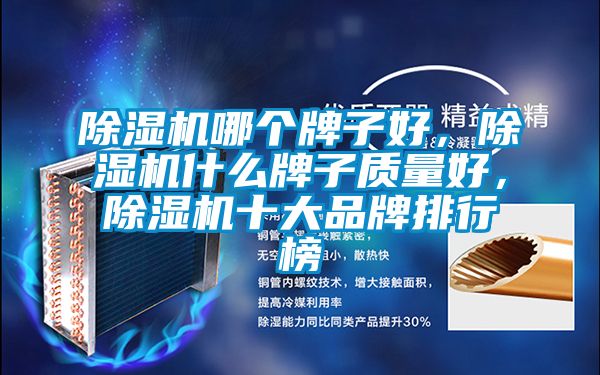 除濕機(jī)哪個(gè)牌子好，除濕機(jī)什么牌子質(zhì)量好，除濕機(jī)十大品牌排行榜